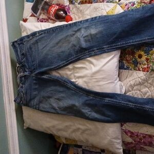 Hollister Jean